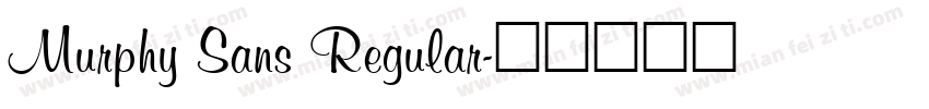 Murphy Sans Regular字体转换